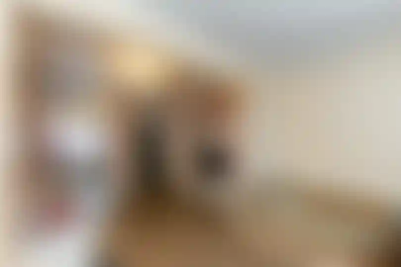 Изображение 14