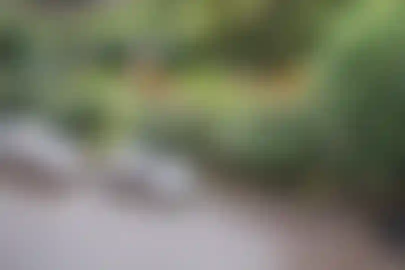 Изображение 18