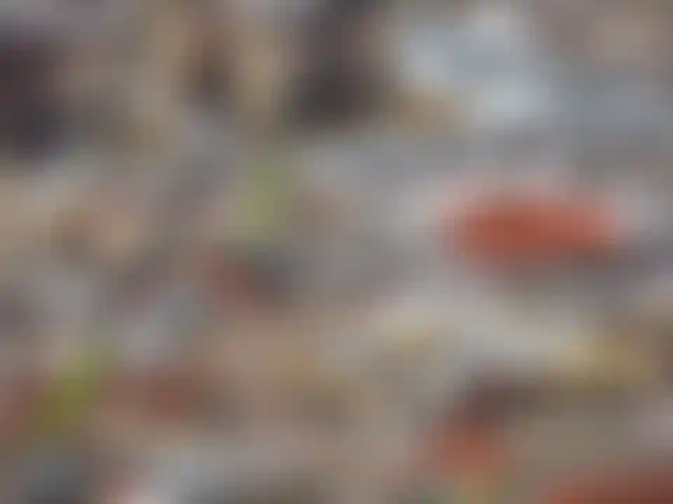 Изображение 19