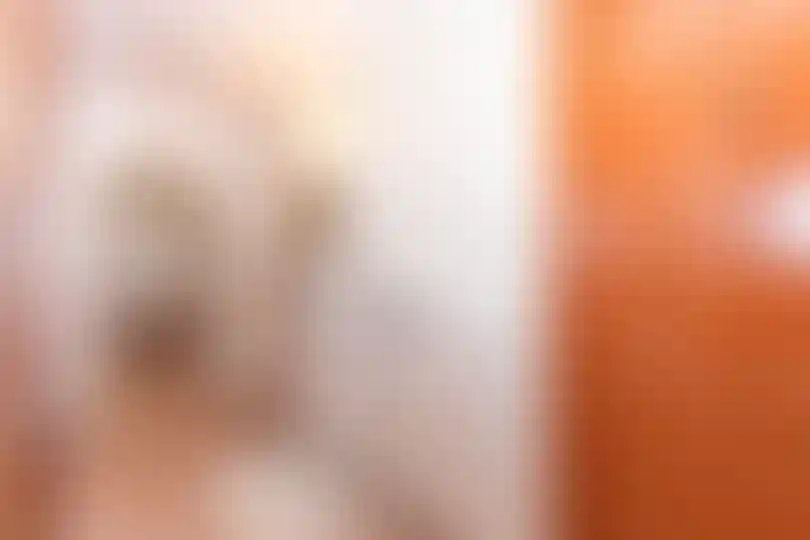 Изображение 17