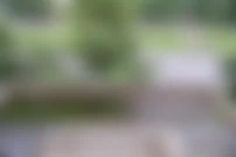 Изображение 10