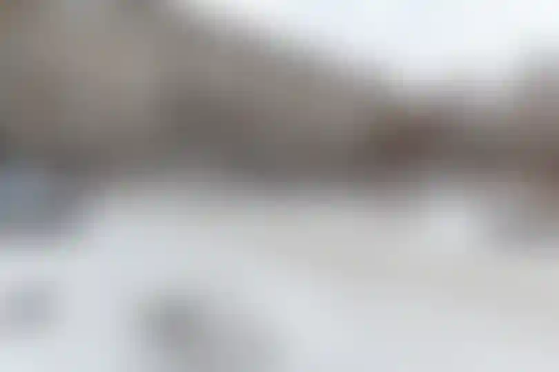 Изображение 27