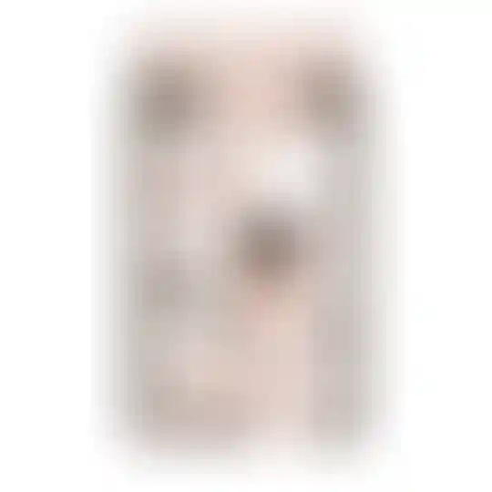 Изображение 0