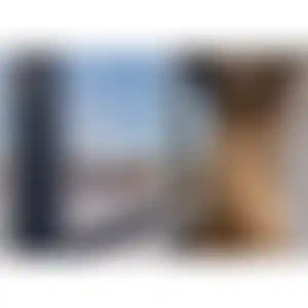 Изображение 10