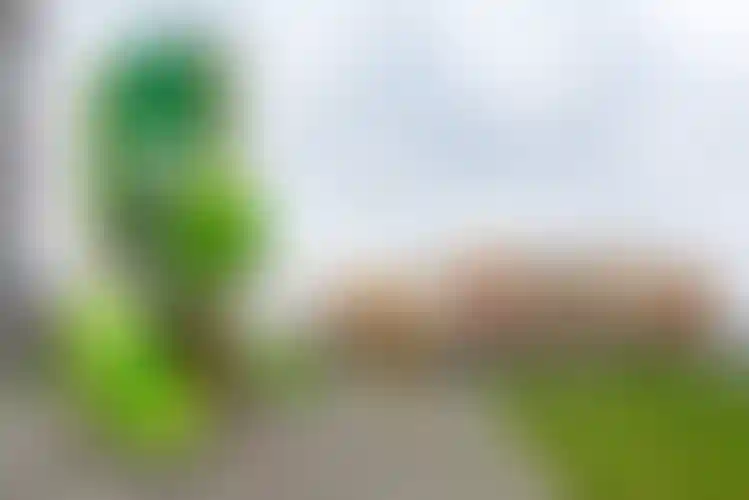 Изображение 12