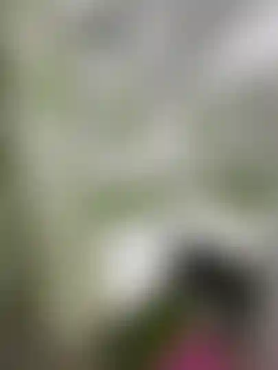 Изображение 28