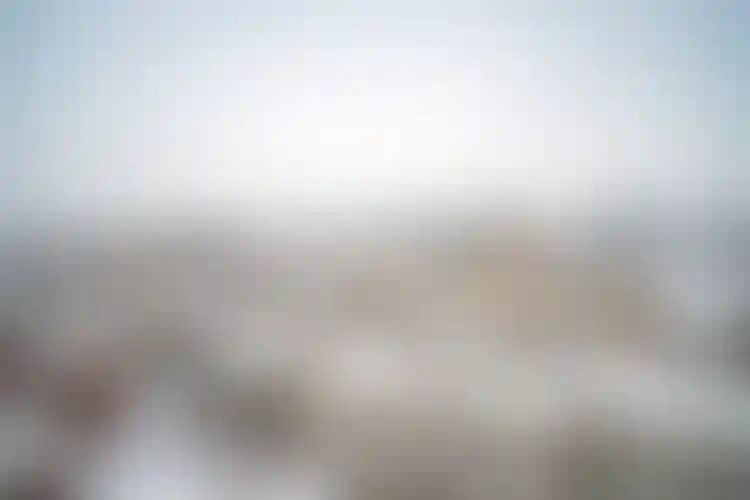 Изображение 14