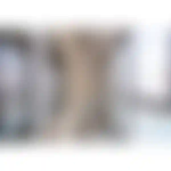 Изображение 11