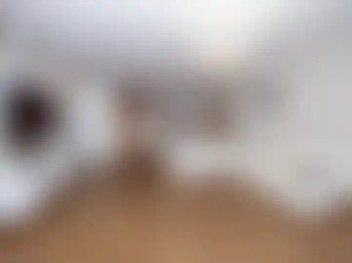 Изображение 22