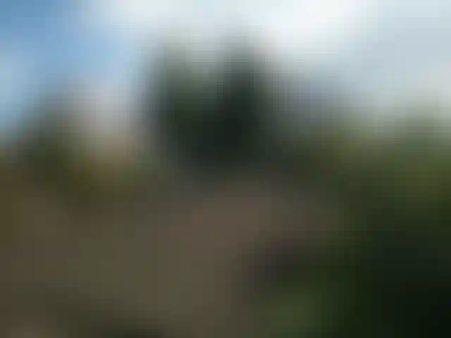 Изображение 8