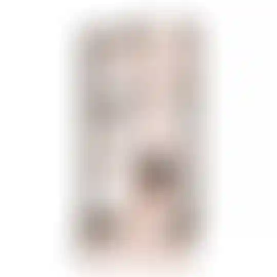 Изображение 0