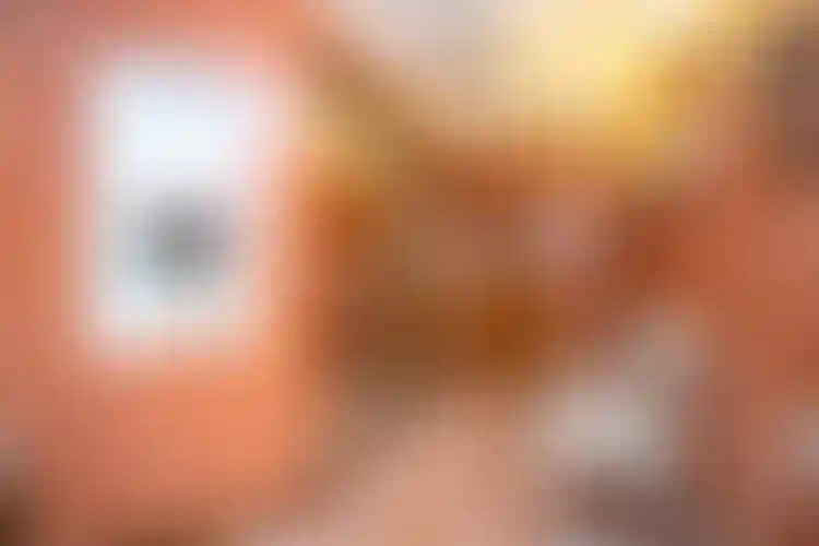 Изображение 16