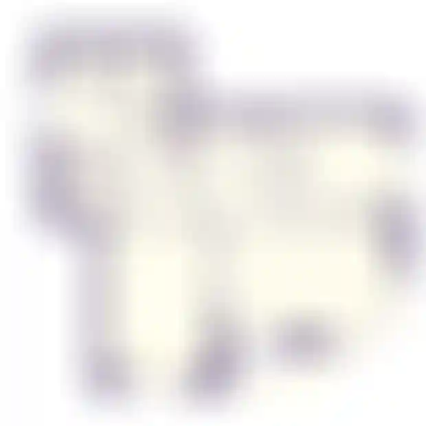 Изображение 0