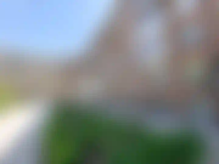 Изображение 25