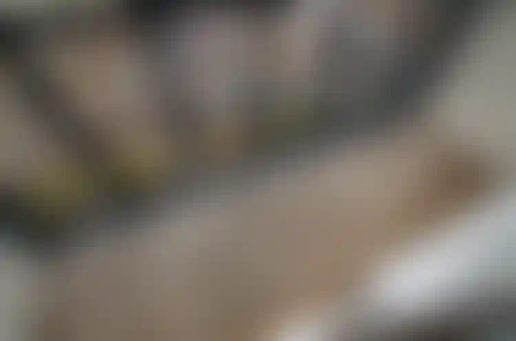 Изображение 10