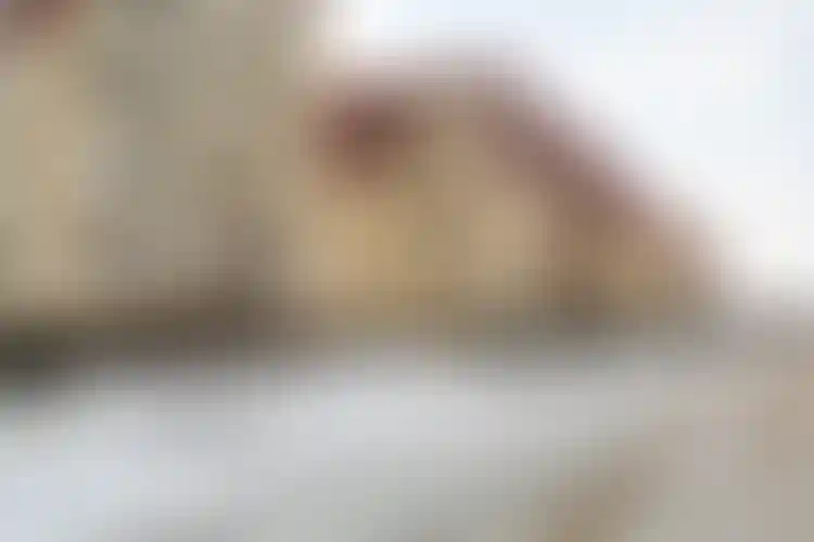 Изображение 30