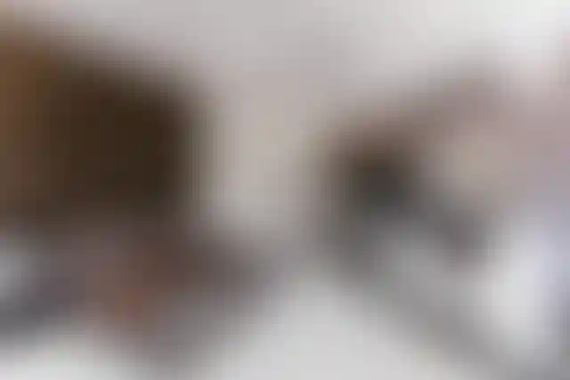 Изображение 28