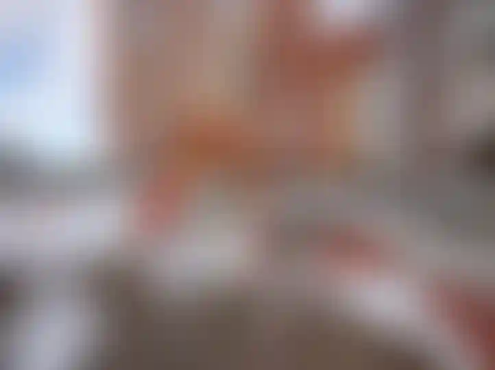 Изображение 47