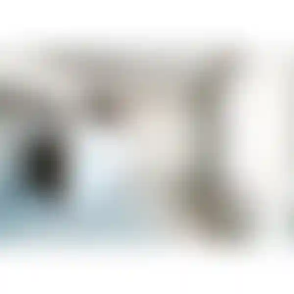 Изображение 8