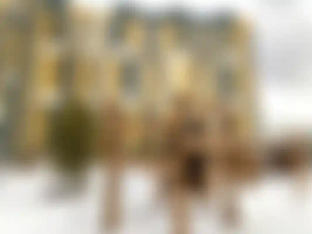 Изображение 21