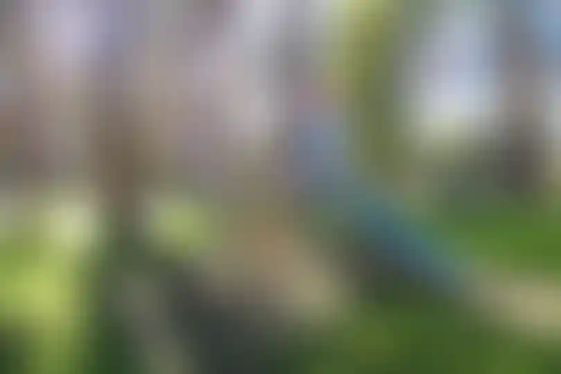 Изображение 33