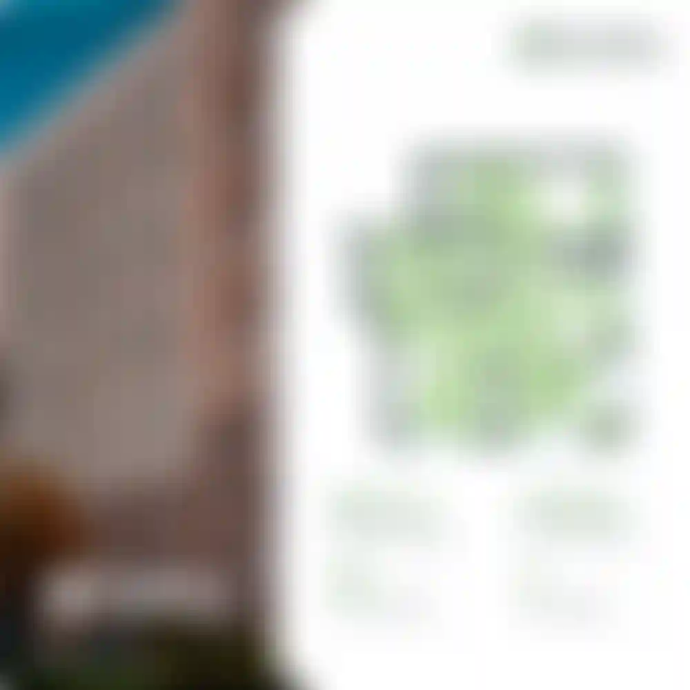 Изображение 0