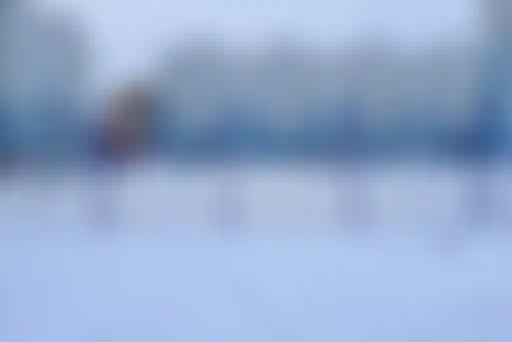 Изображение 12