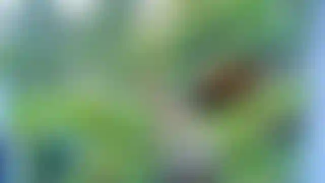 Изображение 29