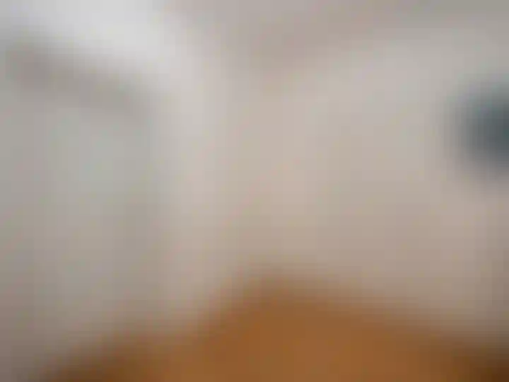 Изображение 21