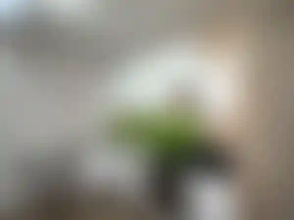 Изображение 44